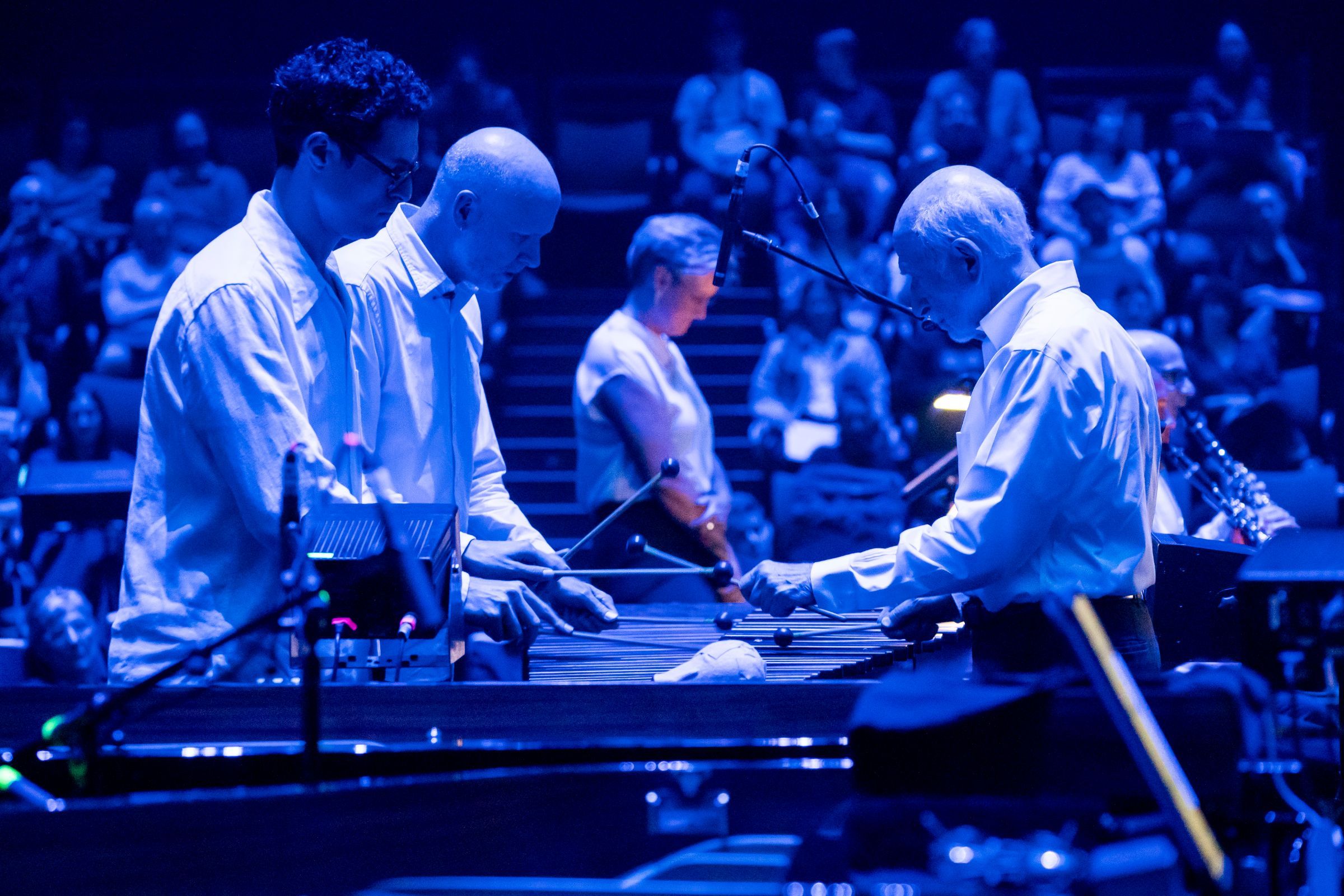The Steve Reich Ensemble in <i>Music for 18 Musicians: Staged Variations</i> &copy; Stephanie Berger