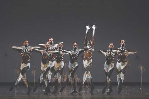 San Francisco Ballet in Pita's <i>Bj&ouml;rk Ballet</i> &copy; Erik Tomasson