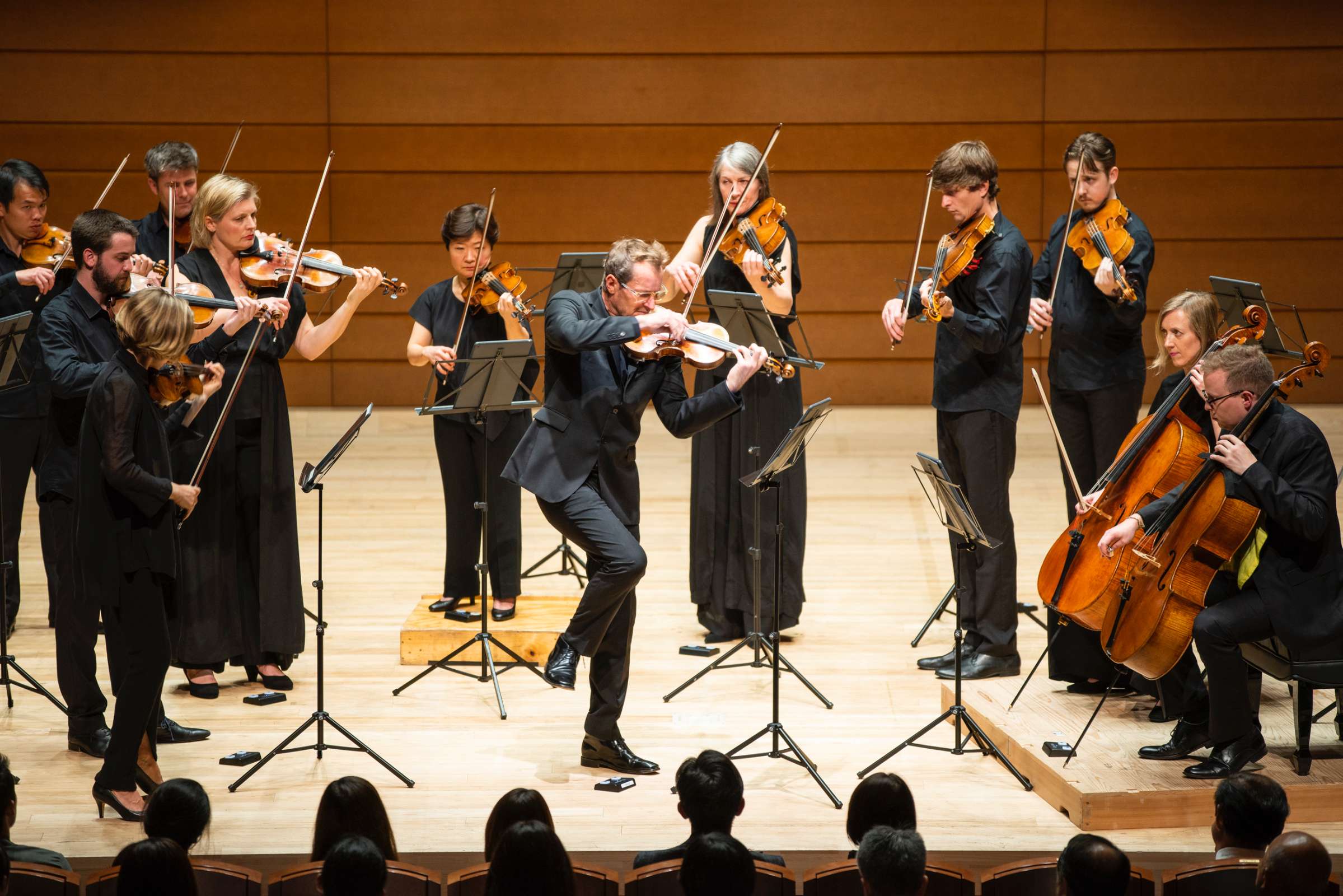 Richard Tognetti leading the Australian Chamber Orchestra &copy; Christie Brewster / Australian Chamber Orchestra