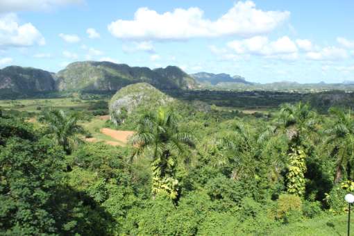 The Cuban countryside (Viñales) © Alicia Tompsett