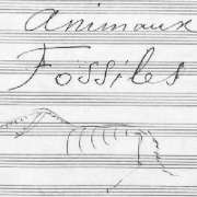 Title page to Fossils in the manuscript including drawing by Saint-Saëns © Wiki Commons | Public domain