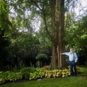 Krzysztof Penderecki next to a bald cypress in his garden in Lusławice &copy; Bartłomiej Barczyk