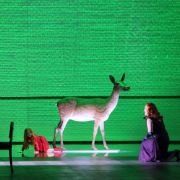 Die Frau ohne Schatten &copy; Wilfried Hösl