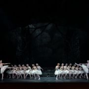 Birmingham Royal Ballet in Act 2 of Peter Wright's Swan Lake &copy; Bill Cooper