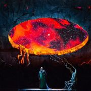 Günther Groissböck (Heinrich) &copy; Marty Sohl | Met Opera
