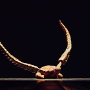 NDT1 in Crystal Pite's Figures in Extinction [1.0] &copy; Rahi Rezvani