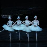 Risako Ikeda, Haruka Soutome, Mikuri Hirokawa, Saya Ikeda as Cygnets in Peter Wright's Swan Lake &copy; Kiyonori Hasegawa