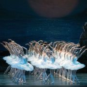 American Ballet Theatre in Act 2 of Swan Lake &copy; Rosalie O'Connor