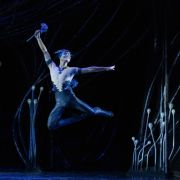 Kohei Iwamoto as Puck in Liam Scarlett's A Midsummer Night's Dream © David Kelly