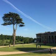 The Grange Festival © Mark Pullinger