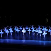 Sofia National Ballet in Swan Lake &copy; Sofia Opera and Ballet