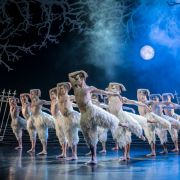 Matthew Bourne's Swan Lake &copy; Johan Persson