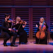 Piatti Quartet &copy; Venetia Jollands