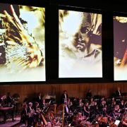 Kirill Serebrennikov's installation for Shostakovich's Leningrad Symphony &copy; Mark Allan | RPO