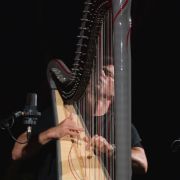 &copy; Joaquín Gómez Sastre | FIS