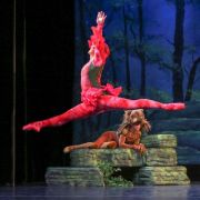 New York Theatre Ballet in Carnival of the Animals &copy; Richard Termine
