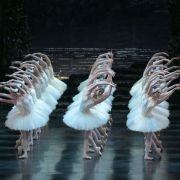 National Ballet of Japan in Sir Peter Wright’s Swan Lake &copy; Takashi Shikama