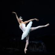 SunMi Park as Odette in Swan Lake &copy; Nir Arieli