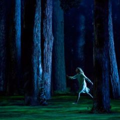 &copy; Elisa Haberer | OnP