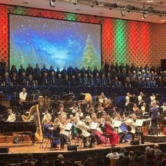 © Bournemouth Symphony Orchestra