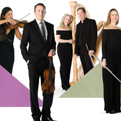 &copy; Bournemouth Symphony Orchestra