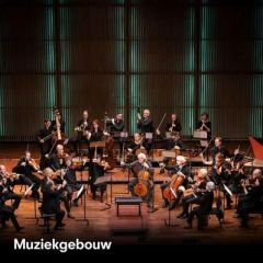 &copy; Simon van Boxtel