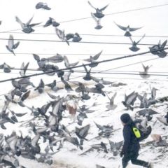 &copy; Belgaimage & AFP Archive