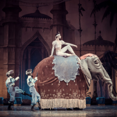 &copy; O. Orlova / O. Zlunitsyna / V. Raievsky