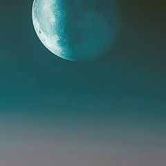 &copy; No credit