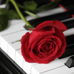 &copy; CityMusic Promotions