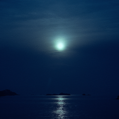 &copy; Marine Lanier